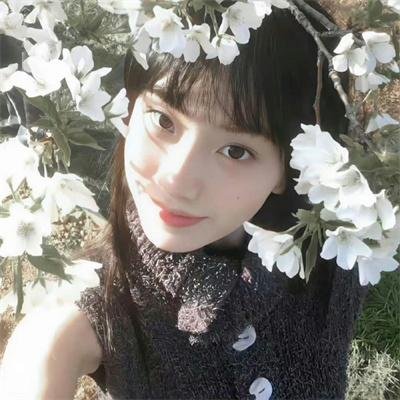 奇门密探
