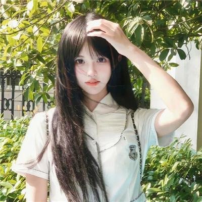 北极故事