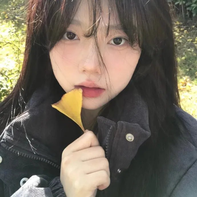 喵的诈骗集团